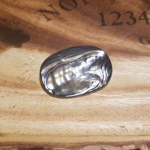 Abalone shell pendant/brooch